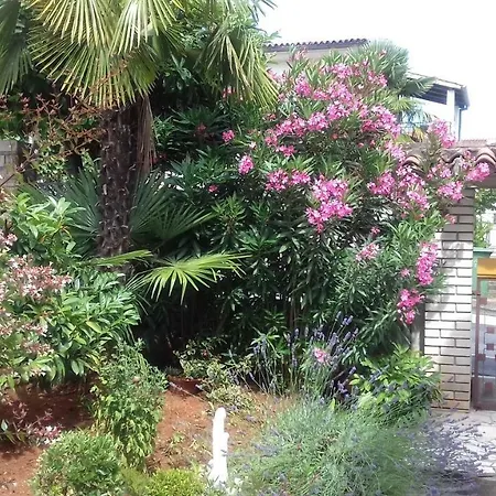 Lili Apartamento Poreč