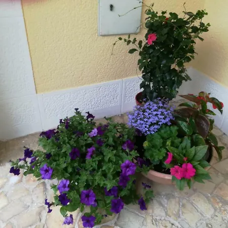 Lili Apartment Poreč