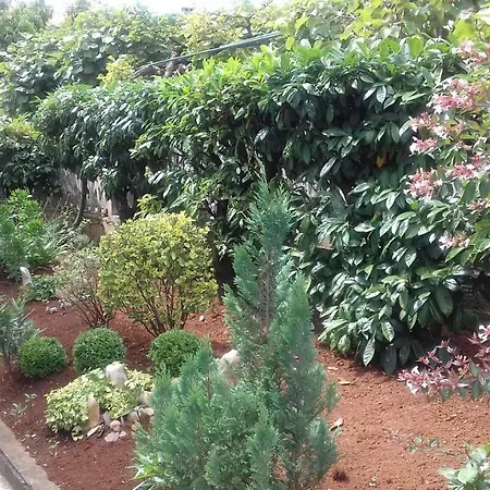 アパート Lili ポレッチ