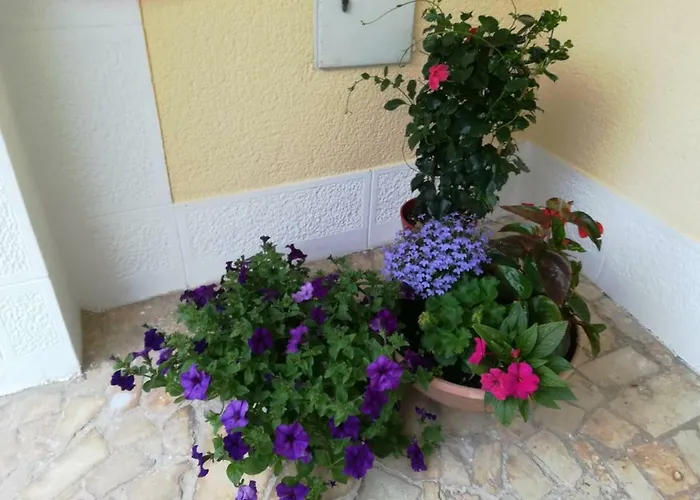 Lili Appartamento Porec